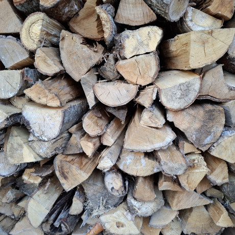 muua-kuttepuid-big-0