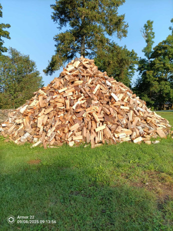 kuttepuud-30-40cm-big-0