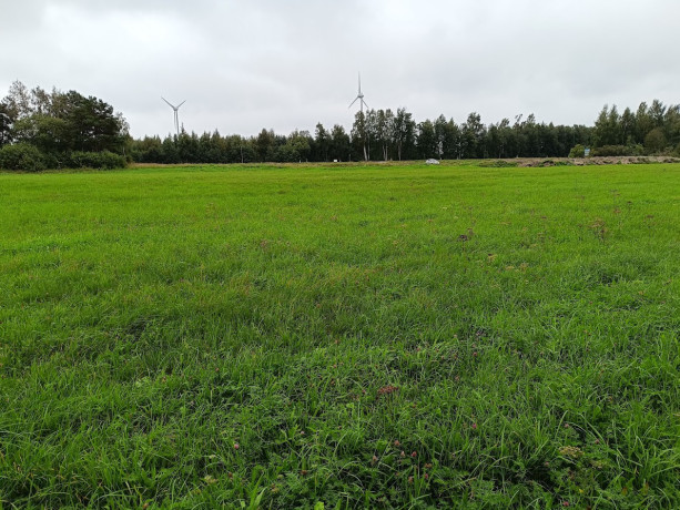 muua-kinnistu-nasval-big-1