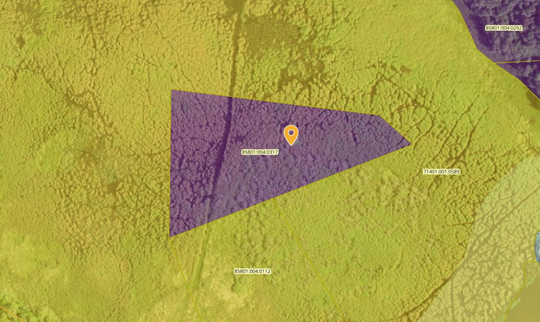 rendile-anda-19-ha-pillirooloikamiseks-sobivat-maad-big-0