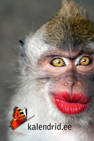 muuda-oma-malestused-igapaevaseks-inspiratsiooniks-big-1