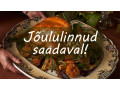 saadaval-valik-joululinde-small-0