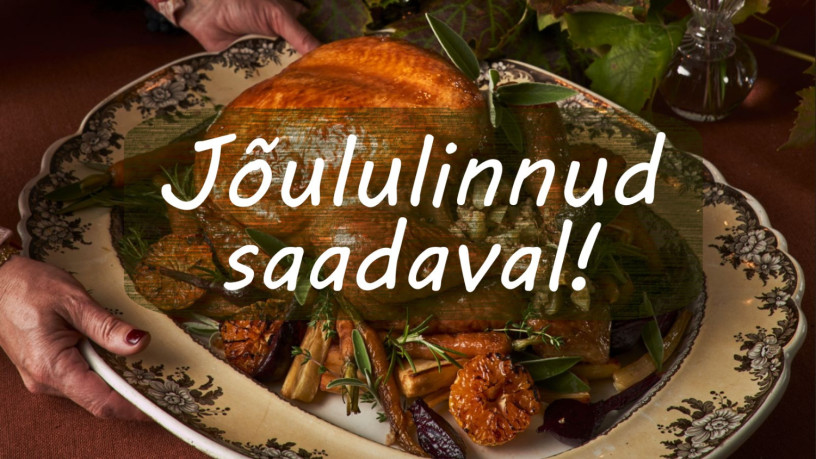 saadaval-valik-joululinde-big-0