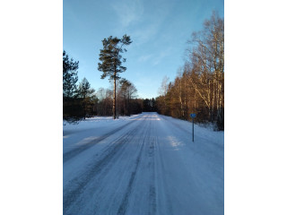 Tallinnas Lasnamäel, välja üürida tuba