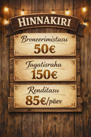 saaremaa-matkaauto-rent-big-1