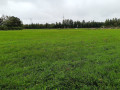 kinnistu-linna-lahedal-hinnatud-piirkonnas-small-1