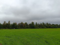 kinnistu-linna-lahedal-hinnatud-piirkonnas-small-0