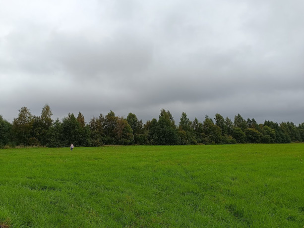 kinnistu-linna-lahedal-hinnatud-piirkonnas-big-0