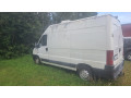 muua-2005-aasta-zboxer-small-2