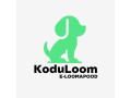 lemmiklooma-e-pood-koduloom-small-0