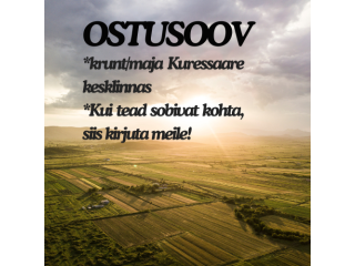 Otsime krunti Kuressaare kesklinna!