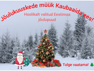 Jõulukuused